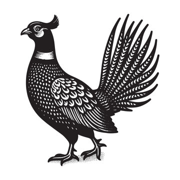 recommend clip art: Pheasant bird. Vitange engraving. Vector illustration, cut out objects