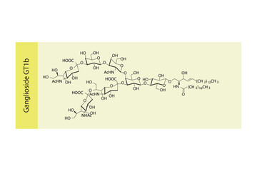 Molecular structure diagram of Ganglioside GT1b  yellow Scientific vector illustration.