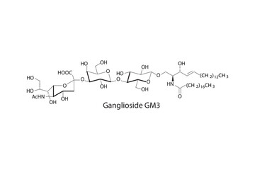 Molecular structure diagram of Ganglioside GM3 - monosialodihexosylganglioside white Scientific vector illustration.