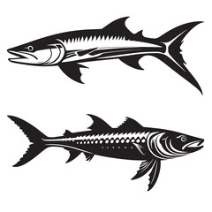 Barracuda silhouettes and icons. black flat color simple elegant white background Barracuda animal vector and illustration.