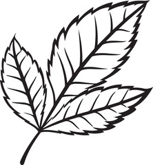 Leaf silhouette vector illustration. Leaf silhouette, Icon and Sign.