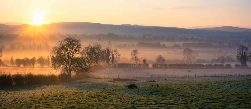 Beautiful Foggy Sunrise at Farm in Ireland