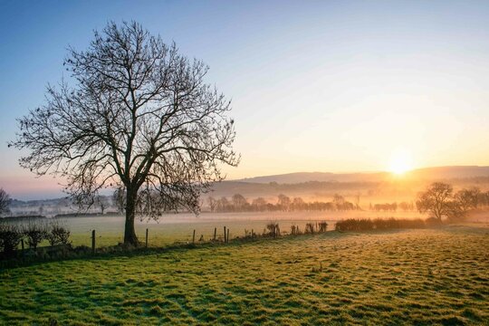 Beautiful Foggy Sunrise at Farm in Ireland