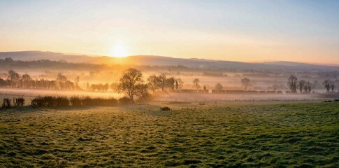 Beautiful Foggy Sunrise at Farm in Ireland