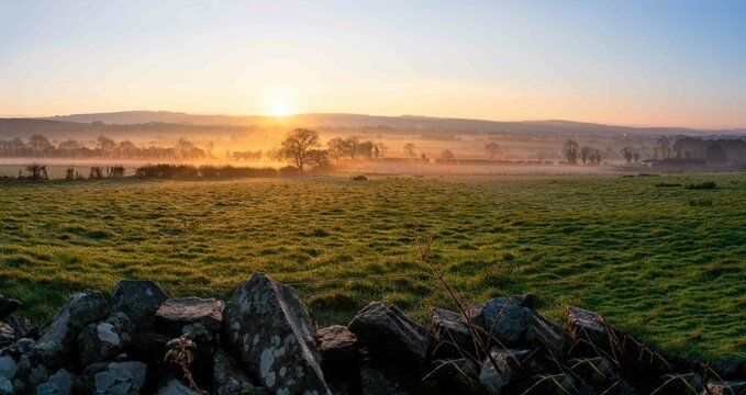 Beautiful Foggy Sunrise at Farm in Ireland