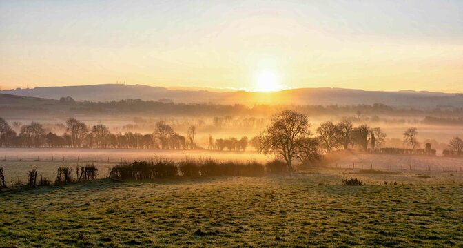 Beautiful Foggy Sunrise at Farm in Ireland