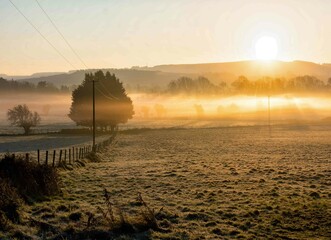 Beautiful Foggy Sunrise at Farm in Ireland