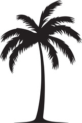 Palm tree silhouette vector illustration. Palm tree silhouette, Icon and Sign.