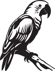 Parrot silhouette vector illustration. Parrot silhouette, Icon and Sign.