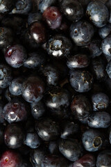 Vollflächige Nahaufnahme von Blaubeeren