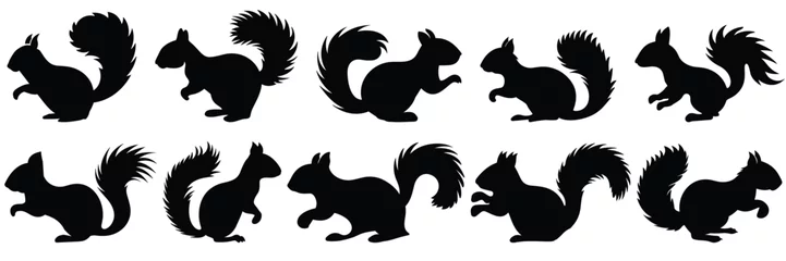 Fotobehang Squirrel silhouettes set, large pack of vector silhouette design, isolated white background © FutureFFX