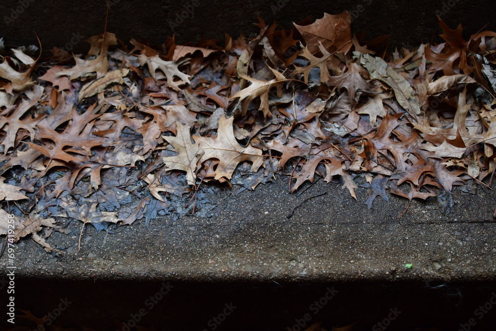 Canvas Prints fallen brown leaves on cement steps