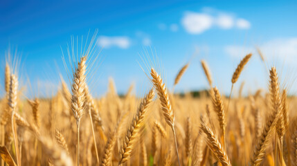 Fototapeta premium View of a creative workspace with an open laptop, various documents featuring colorful infographics and graphs