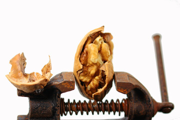 Nutcracker, walnut in vice