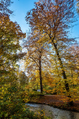 Golden autumn view in famous Munich relax place - Englischer Garten. Munich, Bavaria, Germany