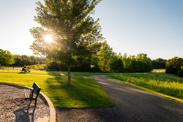 Empty Park Bench on a Serene Summer Evening