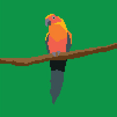blue and yellow macaw, pixel art, bird