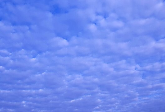 blue sky with white clouds