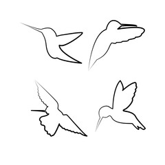 Bird icon