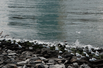 Obraz premium City Views