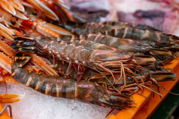 Assortment of fresh daily catch of prawns, shrimps, fishes, seashells, molluscs on ice on fish market in France