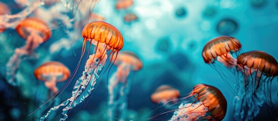 Naklejka premium Blue ocean water with orange jellyfish.