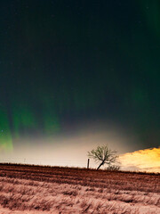 Northern lights over the Nordre Øyeren nature reserve