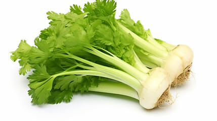 growing celery on white background. Celery isolated on a white background. AI Generative