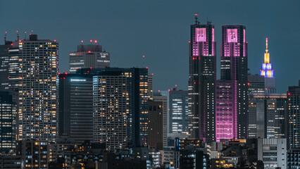 Fototapeta na wymiar ビル群の東京夜景