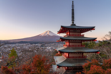 See Mount Fuji with Chureito pagoda in an autumn morning, Yamanashi, Japan - 697445802