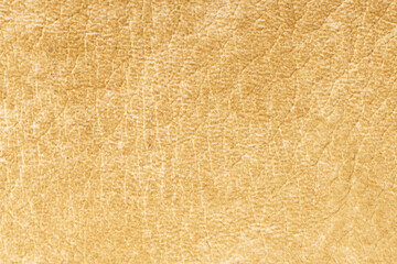 Old aged brown leather