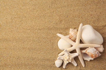Fototapeta na wymiar Beautiful sea stars, shells and stones on sand, flat lay. Space for text