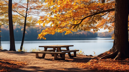Bench in the park in autumn season.