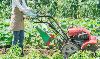 畑を小型トラクターで耕す農家のアジア人女性（農業・田舎暮らし）
