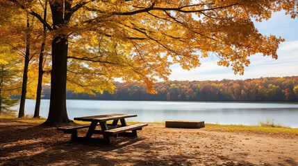 Bench in the park in autumn season.