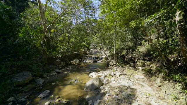 Jungle river in Honduras