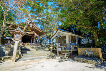 Obraz premium 冬の志賀海神社 福岡県志賀島 Shikaumi Shrine in winter. Fukuoka Pref, Shikanoshim island.