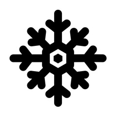 Fototapeta premium snow