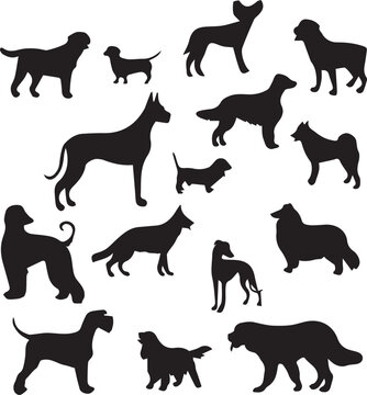 set of dogs silhouettes-silhouettes of dogs-dog silhouettes set-dog silhouettes vector-dog silhouettes collection