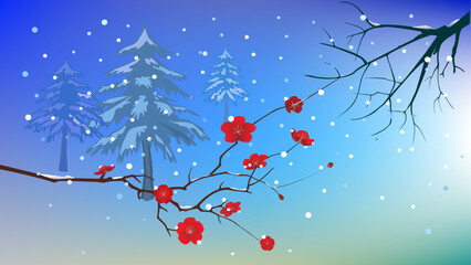 Red plum blossoms with sonw