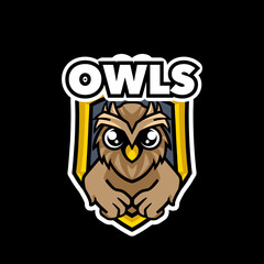 Owl mascot logo design sport