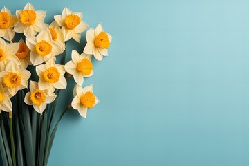 Yellow Narcissus or daffodil flowers on background. copy space, Postcard, banner, design
