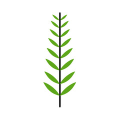 simple leaves botanical branches with stem and foliage vector illustration