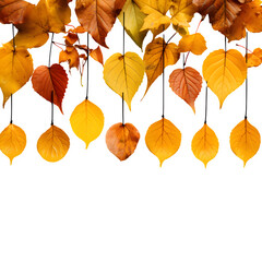 Fototapeta premium Autumn leaves isolated on transparent background Generative AI