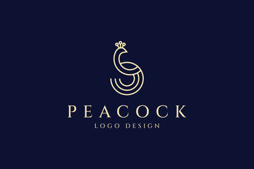 Luxury Peacock illustration logo design template linear style vector - obrazy, fototapety, plakaty