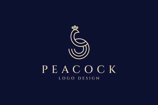Luxury Peacock illustration logo design template linear style vector