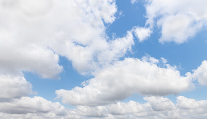 Obraz premium The unique beauty of a clear cloudy daytime summer sunny calm bright sky