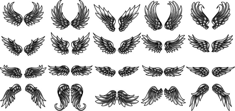 vector vintage angel wings