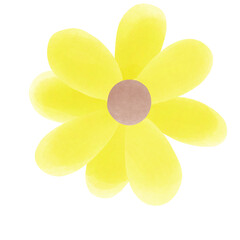 yellow flower isolated on white