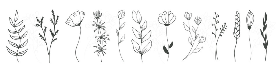 Set of field, forest flowers and leaves, herbal elements of hand drawn wild herbs. For stylized background decor, postcards, print, for editing, for modern original design addition. 